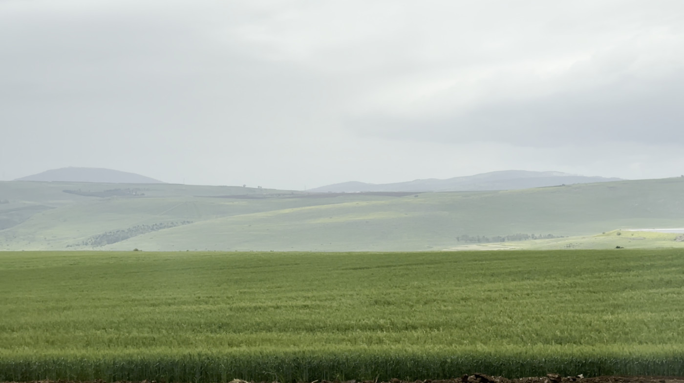Crops grown outside Kinneret, Israel, on March 30, 2023. (Ben Winslow / FOX 13 News)